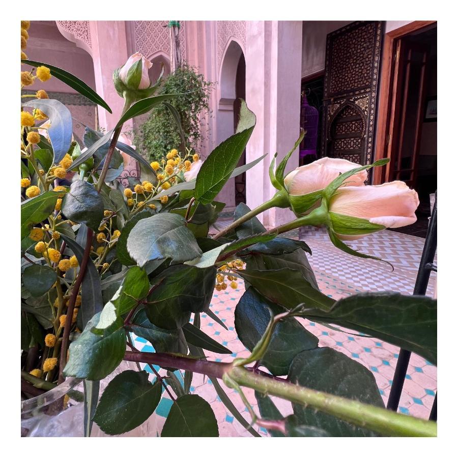 מלון מרקש Palais Nejma Oriental מראה חיצוני תמונה